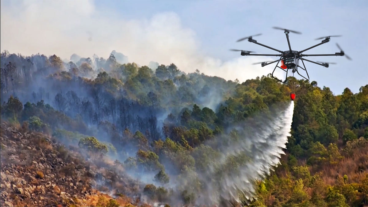 ɭ������Ԯϵͳ����ƻ�